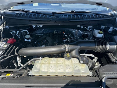 2025 Ford Expedition Active MAX